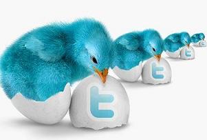 Fluffy Twitter Bird