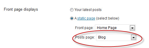 Static-Page-front-page-displays Static-Page-front-page-displays