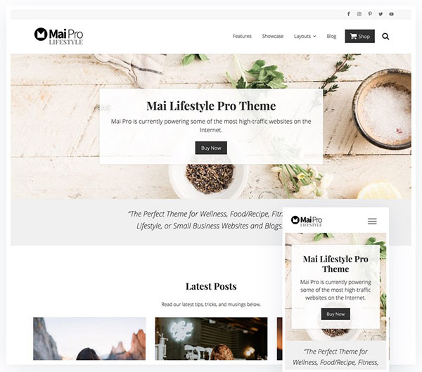Mai Pro Lifestyle Pro Genesis Theme